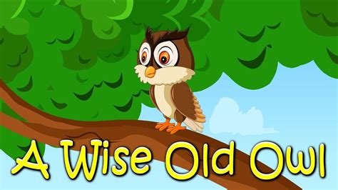 Bedtime Stories To Read Online A Wise Old Owl Stories Forum
