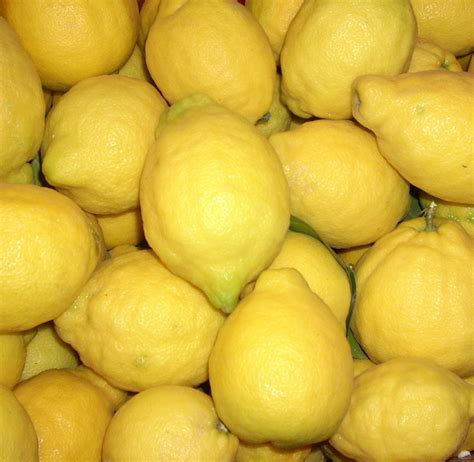 Organic Lemons | Sunshine Co-operative