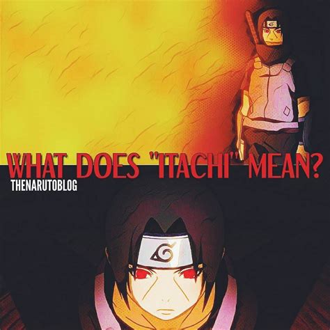 12 Why Itachi Has Lines On His Face Wallpapers In 2021 Itachi Uchiha