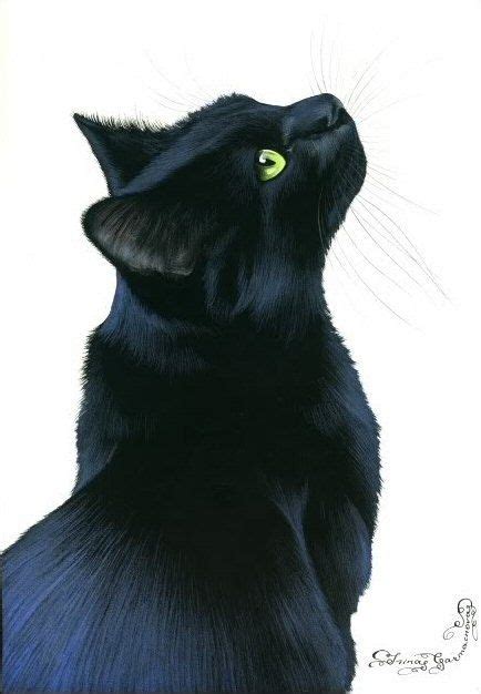 Black Cat Print Black Elegance By Irina Garmashova Black Cat Art