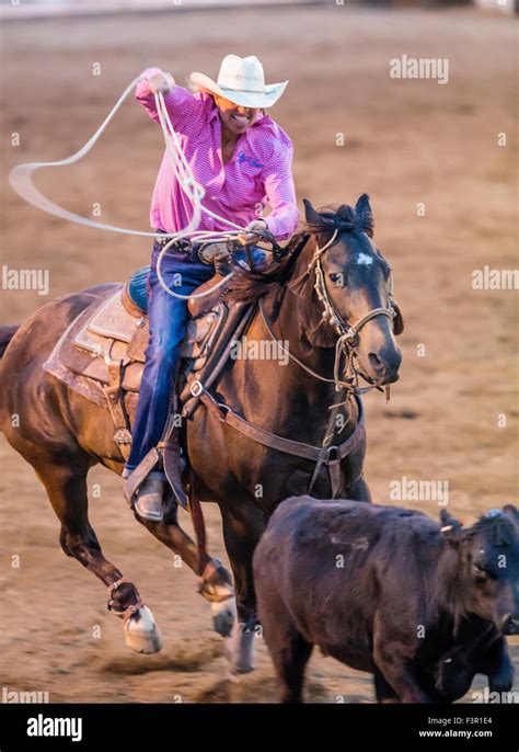 Rodeo Cowgirl On Horseback Competing In Calf Roping Or Tie Down Roping