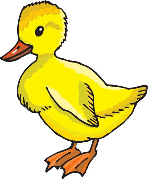 Yellow Duckling Clip Art At Vector Clip Art Online Royalty
