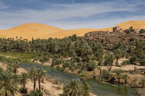 View Over The Oasis Of Taghit Western Algeria North Africa Africa