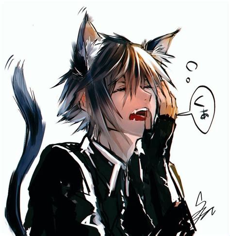 Sora Cat Anime Cat Boy Anime Neko Anime