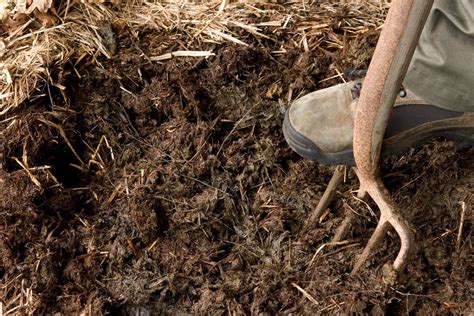 How To Grow Grass In Clay Soil In 5 Simple Steps