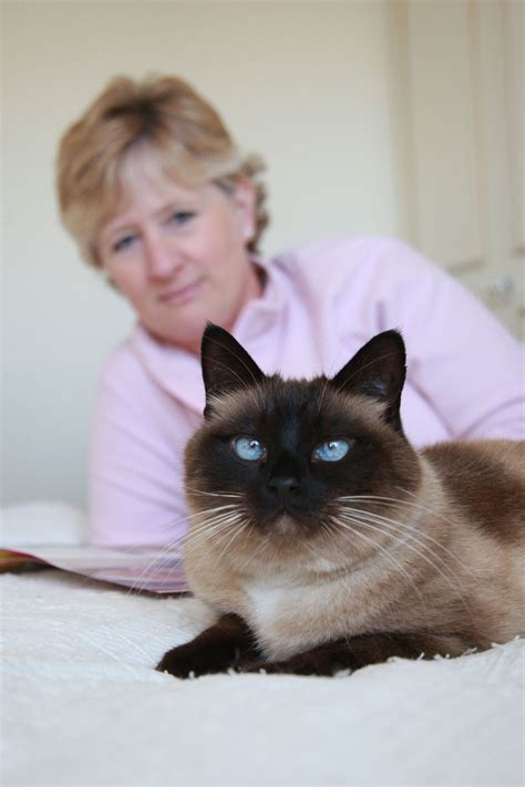 Time To Say Goodbye To Your Cat Advice On Cat Euthanasia The