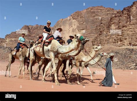 Tourists Riding Camels In Wadi Rum Jordan Stock Photo Alamy