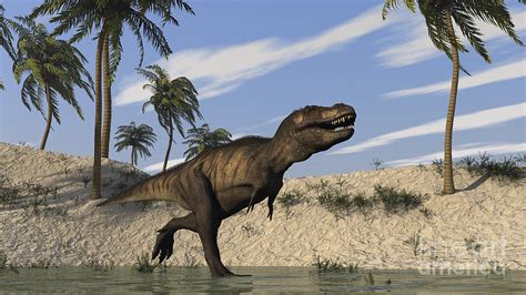 Tyrannosaurus Rex Hunting In Shallow Digital Art By Kostyantyn
