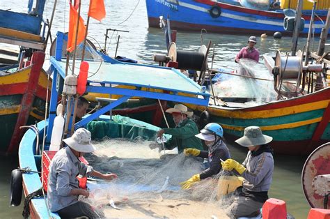 Hỗ trợ ngư dân chuyển đổi nghề đánh bắt thủy sản Báo Bà Rịa Vũng