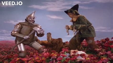 The Wizard Of Oz Poppies Youtube