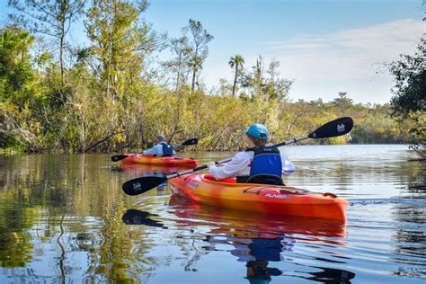 Tripadvisor Visite Guidée En Kayak Des Everglades Proposé Par