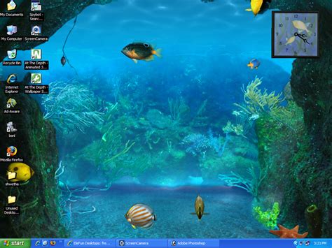 Bing Wallpaper Collection Free Download Aquarium 