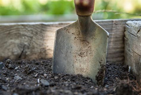 It also helps to grow plants that are in the same family together. How to Amend Your Soil and Keep it Healthy | Garden soil ...