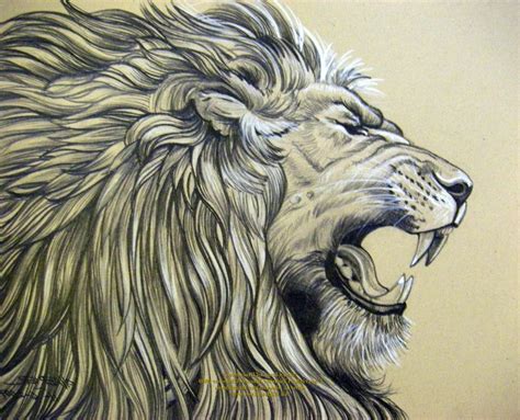 Pencil Lion Drawing At Getdrawings Free Download