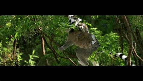 Bbc Madagascar Ep02 Lost Worlds Vídeo Dailymotion