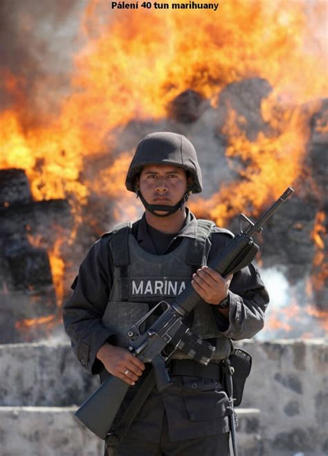 Jul 03, 2020 · 「麻薬戦争」が繰り広げられるメキシコの中でも、首都メキシコ市は比較的平穏なオアシスに近いと考えられていた時期があった。しかし市の. 5年間で約5万人が死亡、メキシコ麻薬戦争の現実 | カルロ ...