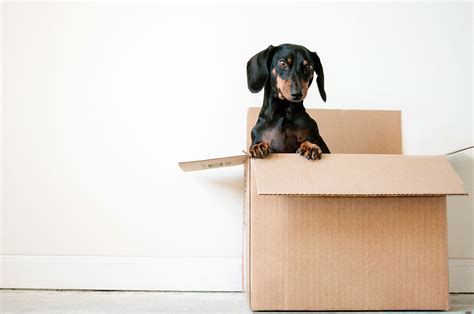 Moving Tips That Will Make Your Life Easier Adorable Homeadorable Home