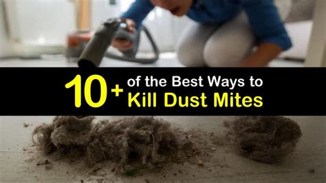 10 Of The Best Ways To Kill Dust Mites