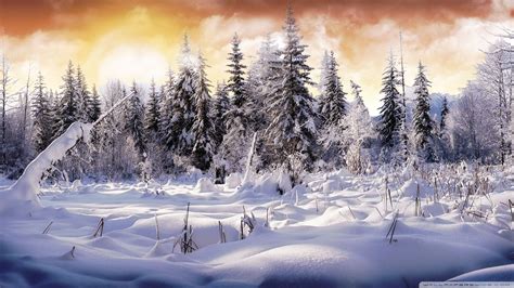 Winter Wonderland 4k Wallpapers Top Free Winter Wonderland 4k