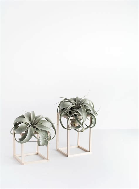 Diy Mini Plant Stands Homey Oh My