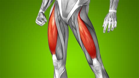 Thigh Pain Symptoms And Proven Treatment Youtube