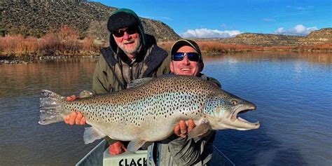San Juan River Fishing Report Abes All About Fishing
