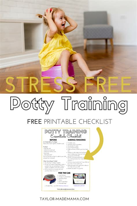 Tops Tips For How To Potty Train Your Toddler Without Stress