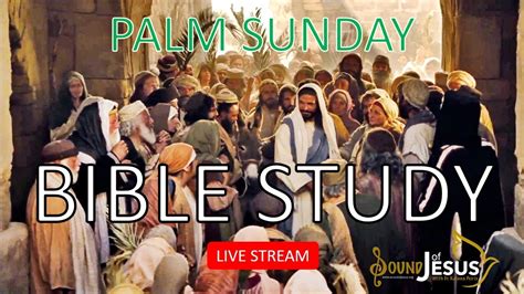 Bible Study Palm Sunday Youtube