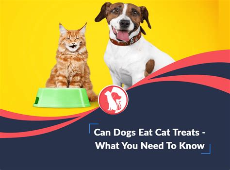 Can Dogs Eat Cat Treats What You Need To Know