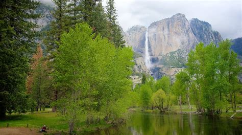 Visit Swinging Bridge Picnic Area In Yosemite National Park Expedia