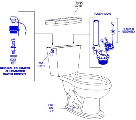 Toilet Diagram Parts Wiring Database