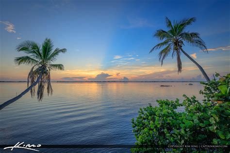 Indian Riverside Park Sunrise Coconut Trees And Water Royal Stock Photo