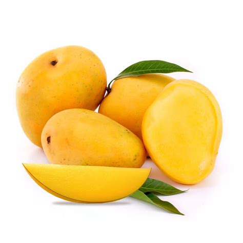 Fresh Kesar Green Mango Fruits Buy Mangobulk Fresh Kesar Mangos