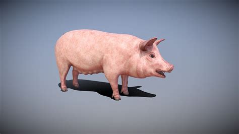 Pig Rigged Pbr Low Poly 3d Model Buy Royalty Free 3d Model By Evm