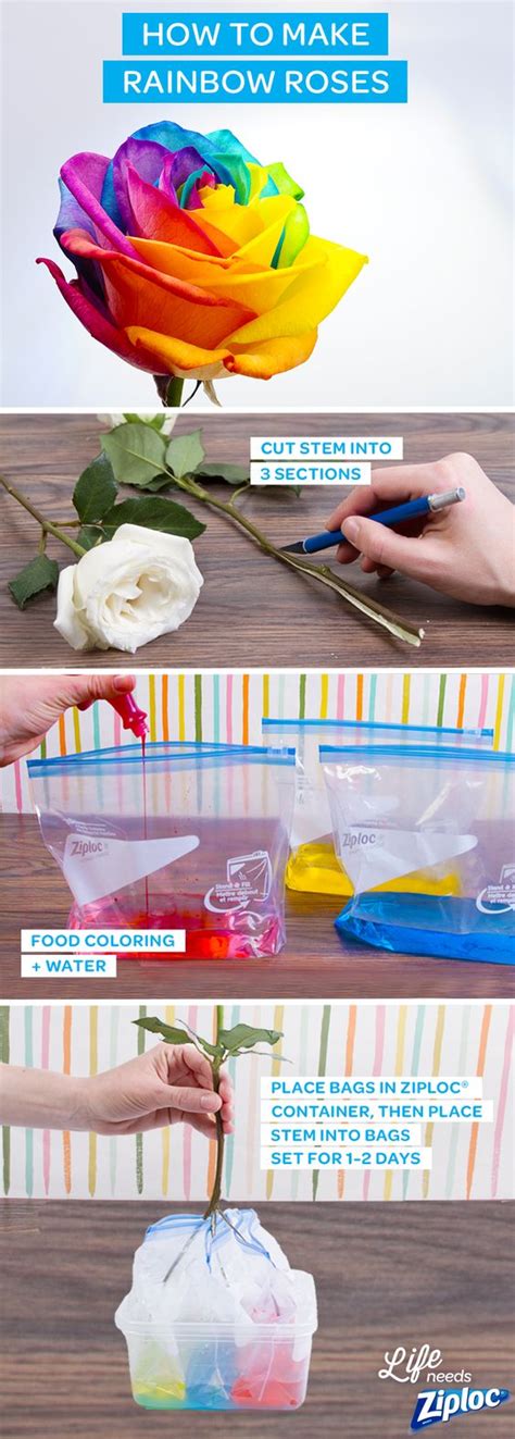 25 Fun And Easy Summer Diy Projects 2023