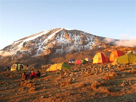About Kilimanjaro Treks Moshi Tanzania Address Phone Number