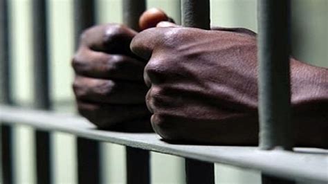 a jamaican man has been sentenced to nearly five years in a united states prison for his