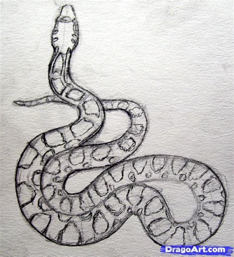 How To Draw A Realistic Snake Draw Real Snake Step By Step Drawing