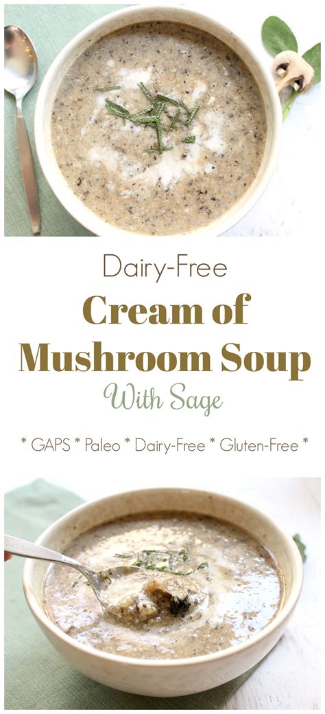 Swoon Worthy Dairy Free Cream Of Mushroom Soup Recipe Keto Recipe