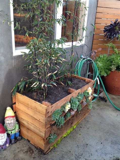 Alibaba.com offers 8,936 bamboo garden products. Planter from pallet with black bamboo | Planters, Black bamboo, Garden