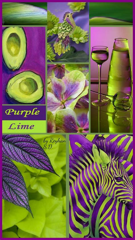 Purple And Lime By Reyhan Sd Color Schemes Colour Palettes Color