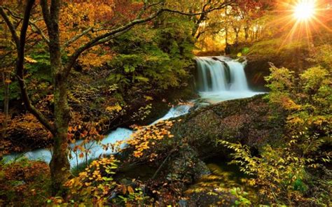 Wallpapers Tagged With Autumn Autumn Hd Wallpapers Page 1