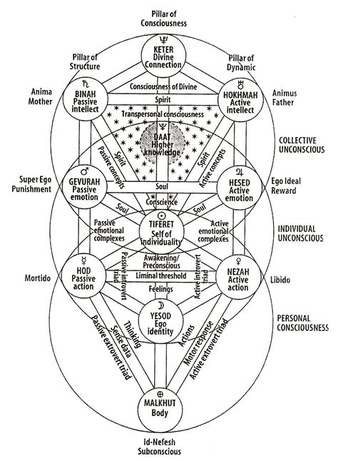 In the kabbalah, the tree of life has various meanings and symbolism. Ten sefirot : unconscious and conscious manifestations ...