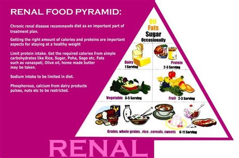 Image Result For Food Pyramid For Kidney Transplant 2016 Renal Diet