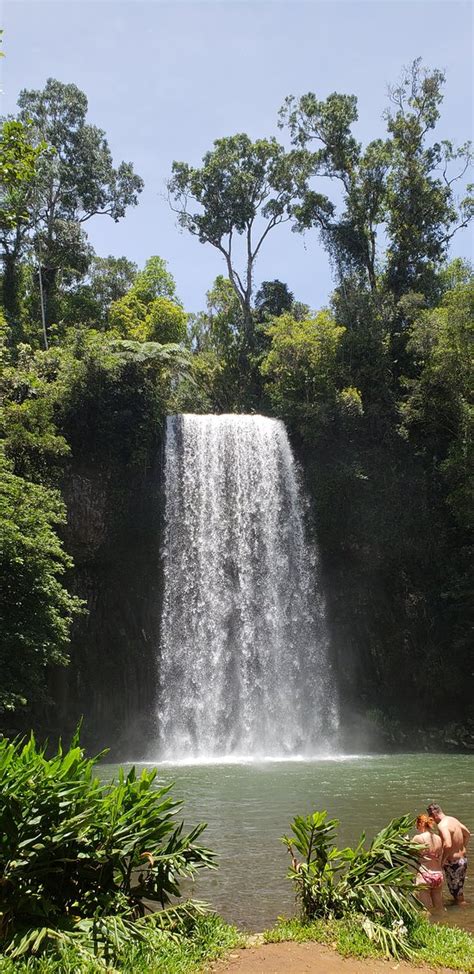 Waterfall Wanderers Cairns 2019 All You Need To Know Before You Go With Photos Cairns