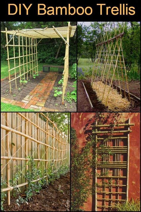 12 Superb Backyard Garden Ideas Bamboo Trellis Diy Bamboo Trellis