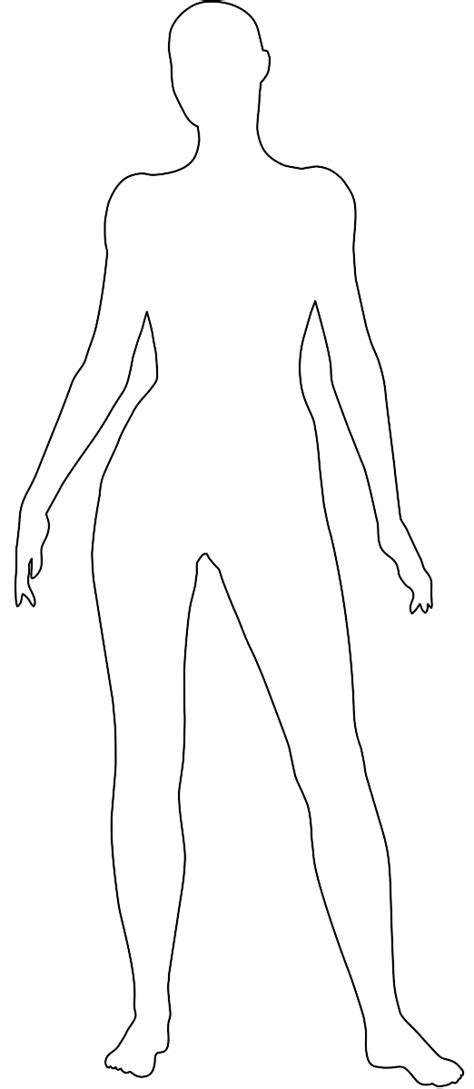 Silueta Cuerpo Humano Contorno Y Silueta Vector