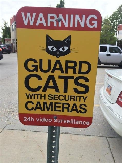 17 Funny Beware Of Cat Signs To Be Taken Seriously Crazy Cat Lady