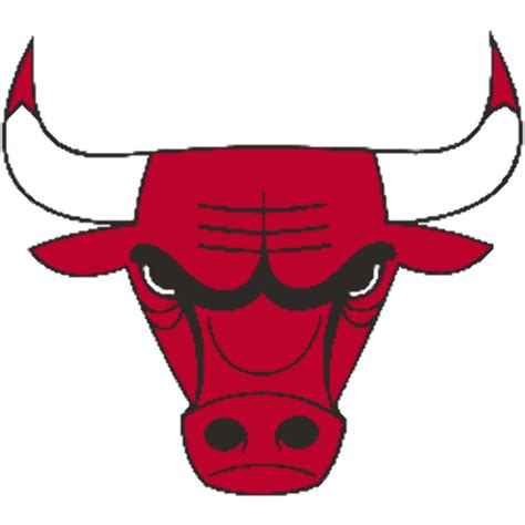 Bulls  23 Logo