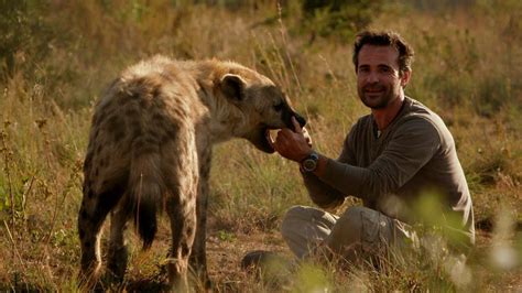Man Plays With Hyena Animal Odd Couples Episode 2 Preview Bbc One